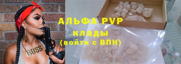 гидропоника Белокуриха