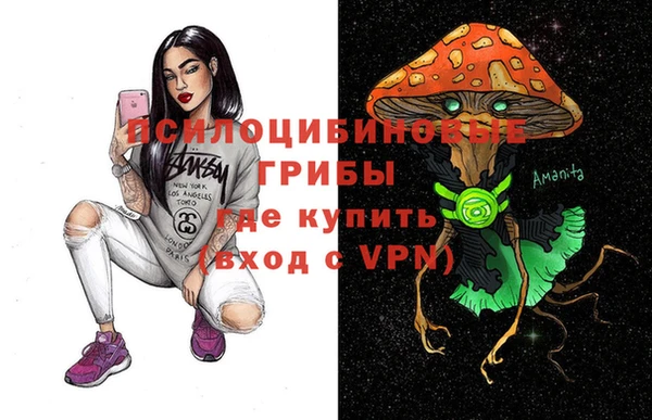 гидропоника Белокуриха