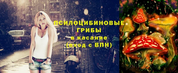 гидропоника Белокуриха