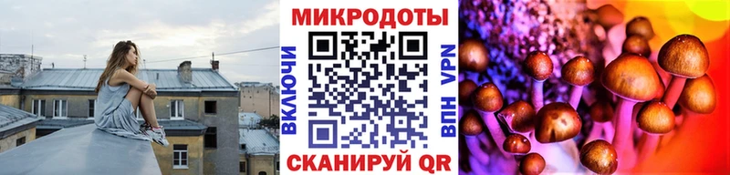 Псилоцибиновые грибы прущие грибы  Кстово 